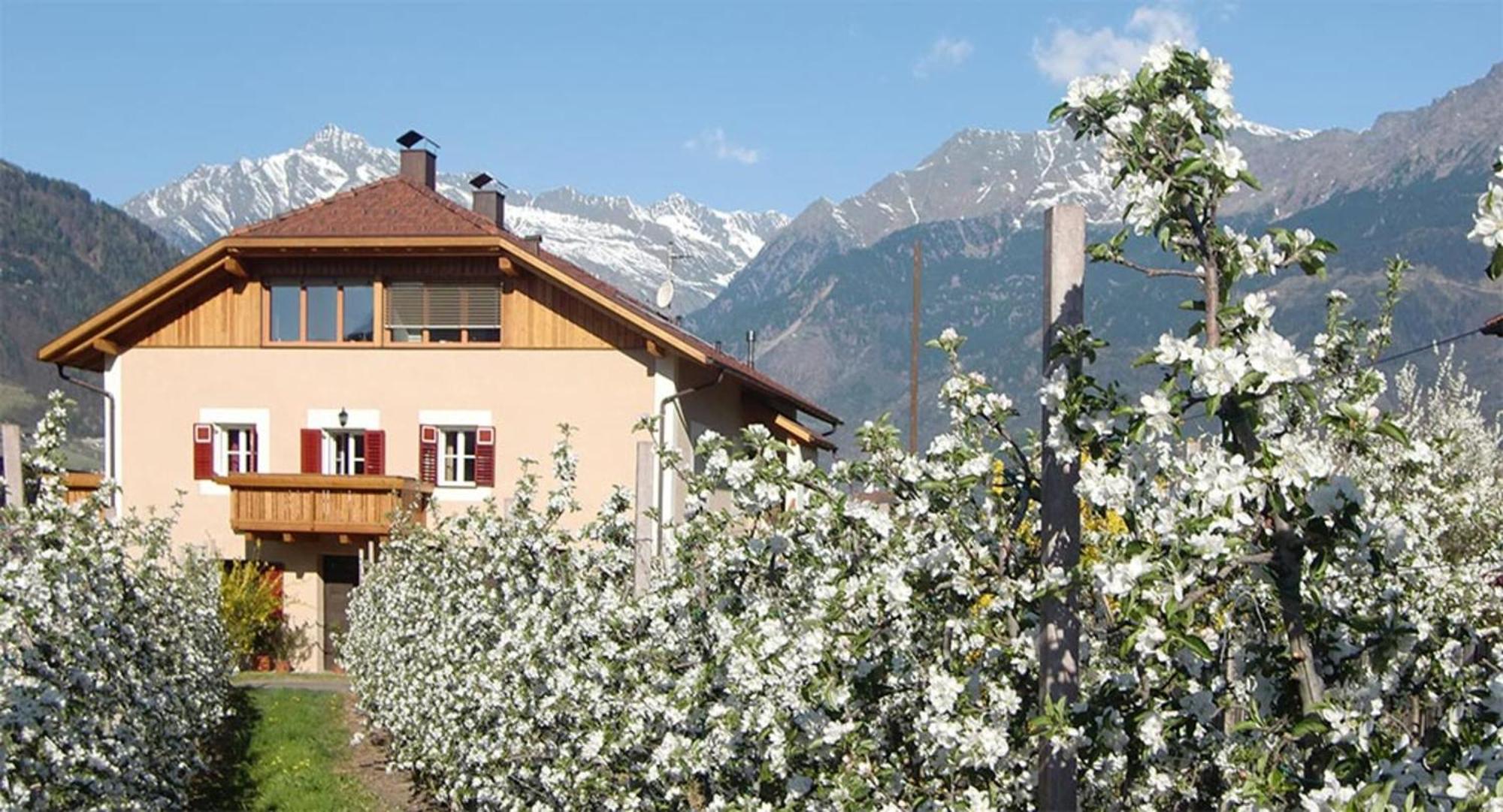 Stoeckerhof Sonne Apartment Merano